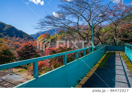 沢入駅　陸橋からの眺め　わたらせ渓谷鉄道　秋の風景　 96472027