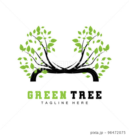 Green Tree Logo Design, Bonsai Tree Logo Illustration, Leaf And Wood Vector 96472075