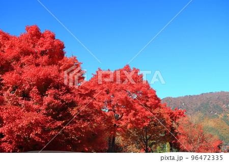 河口湖セブンイレブン周辺の景観 河口湖セブンイレブン周辺の景観 96472335