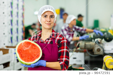 Portrait of positive woman fruit factory worker with watermelon Portrait of positive woman fruit factory worker with watermelon 96472591