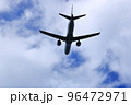 大阪国際空港　旅客機　離陸　猪名川土手 96472971