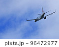 大阪国際空港　旅客機　離陸　猪名川土手 96472977