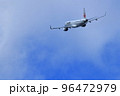 大阪国際空港　旅客機　離陸　猪名川土手 96472979