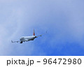 大阪国際空港　旅客機　離陸　猪名川土手 96472980