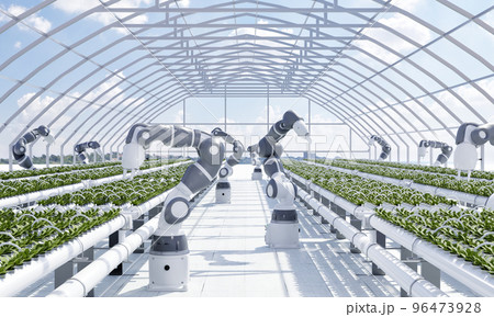 Smart farm with robot hands growing and harvesting vegetables in greenhouse with sky background. Innovative technology and agriculture concept. 3D illustration rendering 96473928