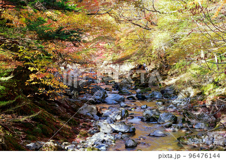 愛媛県　内子町　小田深山　秋 96476144
