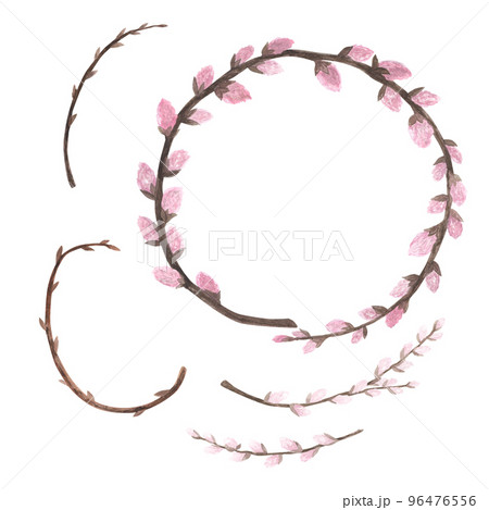 Set pussy willow branch watercolor isolated on white. Hand drawn illustration. Art for design card of flowering, spring 96476556