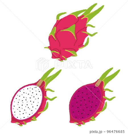 ドラゴンフルーツのイラスト 96476685