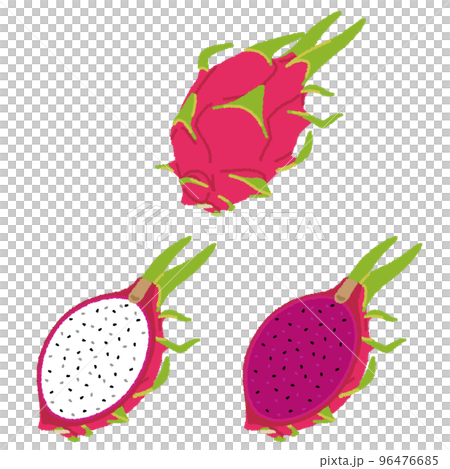 ドラゴンフルーツのイラスト 96476685