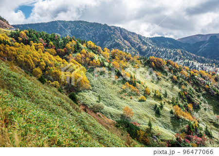 《長野県》秋の志賀高原 渋峠の紅葉風景 《長野県》秋の志賀高原 渋峠の紅葉風景 96477066