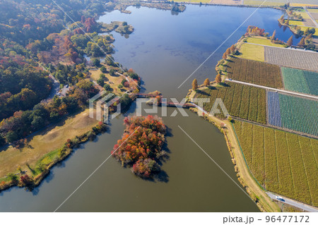 ドローン撮影|紅葉が美しくキャンプもできる曽根沼湖岸緑地|滋賀県彦根市 ドローン撮影|紅葉が美しくキャンプもできる曽根沼湖岸緑地|滋賀県彦根市 96477172