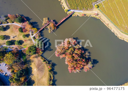 ドローン撮影|紅葉が美しくキャンプもできる曽根沼湖岸緑地|滋賀県彦根市 ドローン撮影|紅葉が美しくキャンプもできる曽根沼湖岸緑地|滋賀県彦根市 96477175
