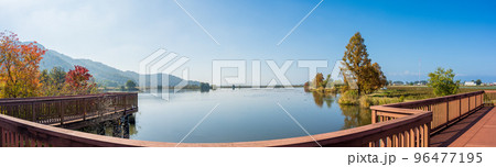 パノラマ撮影|紅葉が美しくキャンプもできる曽根沼湖岸緑地|滋賀県彦根市 パノラマ撮影|紅葉が美しくキャンプもできる曽根沼湖岸緑地|滋賀県彦根市 96477195