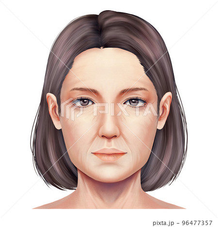 リアルな中年女性の正面顔イラスト ラスター素材のイラスト素材