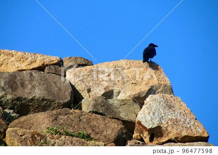 米子城跡・天守跡（鳥取県・米子市） 96477598