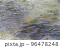 神聖な水 96478248