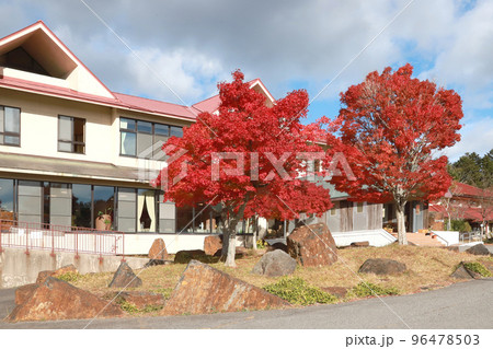 もみの木森林公園紅葉 もみの木森林公園紅葉 96478503