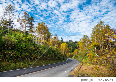 《長野県》秋の志賀高原 紅葉の志賀草津高原ルート 陽坂 《長野県》秋の志賀高原 紅葉の志賀草津高原ルート 陽坂 96478574