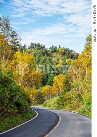 《長野県》秋の志賀高原　紅葉の志賀草津高原ルート　陽坂 96478576