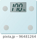 デジタル体重計170lb表示のベクターイラスト 96481264