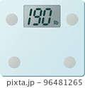 デジタル体重計190lb表示のベクターイラスト 96481265