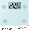 デジタル体重計210lb表示のベクターイラスト 96481266