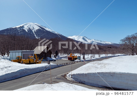 【八甲田山】箒場岱（ほうきばたい）から見る北八甲田 96481577