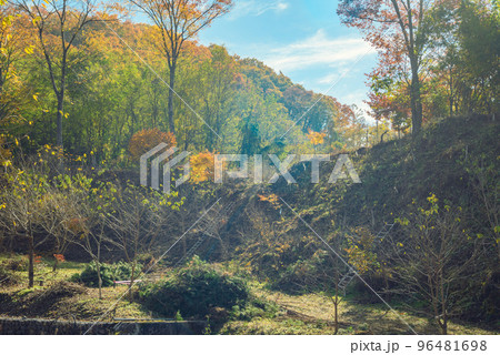 【オールドレンズ風仕上げ】或る里山の風景【晩秋】 96481698