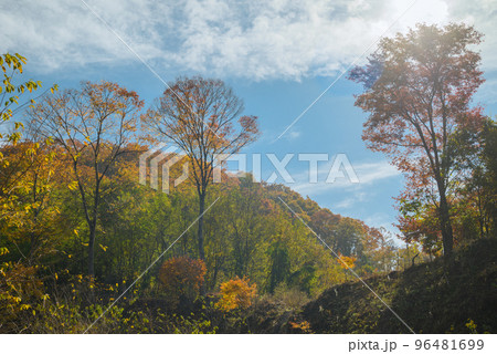 【オールドレンズ風仕上げ】或る里山の風景【晩秋】 96481699