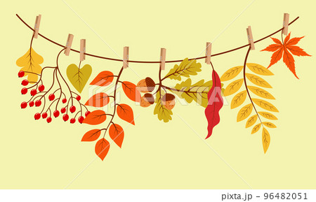Autumn gifts hanging on the rope attached with clothespin. Vector illustration. 96482051