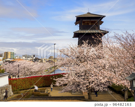 新川千本桜と新川西水門広場の火の見櫓(東京都江戸川区) 新川千本桜と新川西水門広場の火の見櫓(東京都江戸川区) 96482163