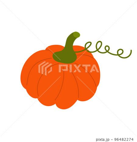 Pumpkin. Autumn Halloween or Thanksgiving pumpkin symbol. Pumpkin. Autumn Halloween or Thanksgiving pumpkin symbol. 96482274