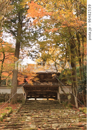 高源寺 兵庫県丹波市 田舎 御朱印 御朱印帳 紅葉 紅葉狩り 修験道 猿