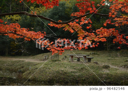 2022年秋_福本藩陣屋跡_大歳神社 96482546