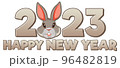 Happy New Year 2023 text with cute rabbit 96482819