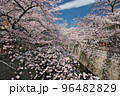目黒川を埋め尽くす満開の桜トンネル（桜まつり） 96482829
