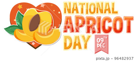 National apricot day icon 96482937