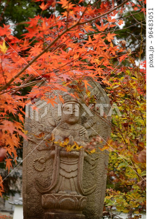 2022秋_朝光寺 96483051