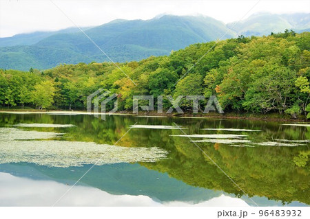 知床五湖の風景(第4湖) 知床五湖の風景(第4湖) 96483932