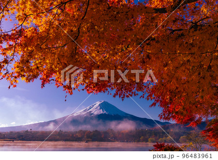 富士山と紅葉 96483961