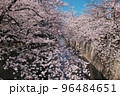 目黒川を埋め尽くす満開のトンネル桜（桜まつり） 96484651