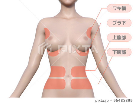 痩せ女子 女性が気になる痩せたい施術部位 ナチュラルな3Dモデルの上半身正面のイラストのイラスト素材 [96485899] - PIXTA