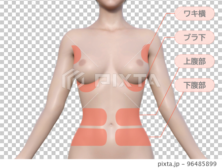 女性が気になる痩せたい施術部位  ナチュラルな3Dモデルの上半身正面のイラスト 96485899