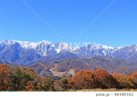 晩秋の白馬　野平から望む白馬三山 96486502