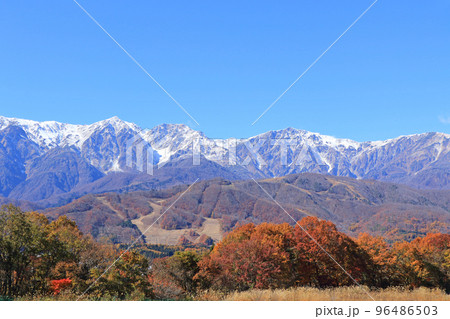 晩秋の白馬 野平から望む白馬三山 晩秋の白馬 野平から望む白馬三山 96486503