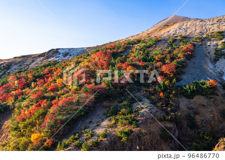 《福島県》かもしか沢の紅葉・磐梯吾妻スカイライン《紅葉最盛期》 96486770