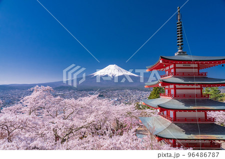 《山梨県》富士山と五重塔と満開の桜・春の新倉山浅間公園 《山梨県》富士山と五重塔と満開の桜・春の新倉山浅間公園 96486787