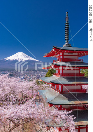 《山梨県》富士山と五重塔と満開の桜・春の新倉山浅間公園 《山梨県》富士山と五重塔と満開の桜・春の新倉山浅間公園 96486789