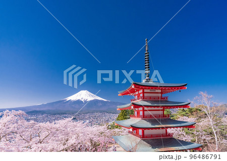 《山梨県》富士山と五重塔と満開の桜・春の新倉山浅間公園 《山梨県》富士山と五重塔と満開の桜・春の新倉山浅間公園 96486791