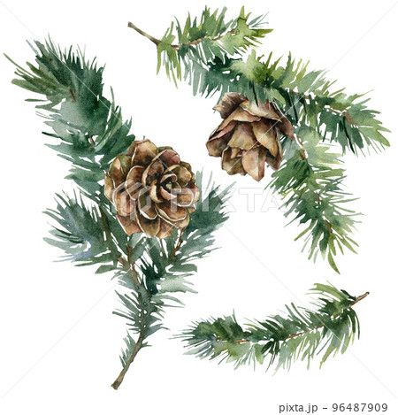 Watercolor Christmas set of fir branches and pine cones. Hand painted holiday elements with winter plants isolated on white background. Floral illustration for design, print, fabric or background. 96487909